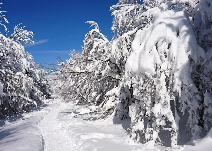 Belle Vue * Gérardmer